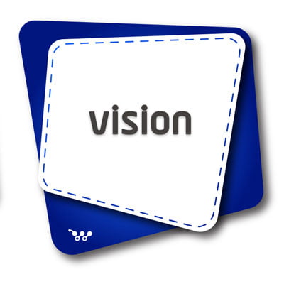 Our Vision